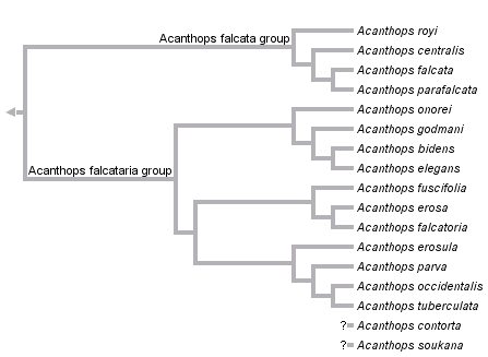 taxon links