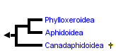 taxon links