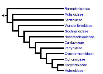 taxon links