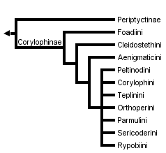 taxon links