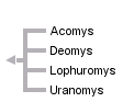 taxon links