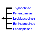 taxon links