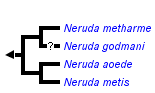 taxon links