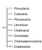 taxon links